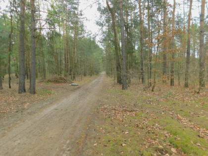 Syndyk sprzeda - Radom, ul. Andersena