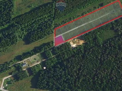 Działka budowlana 977 m², las i cisza – Zakrzów