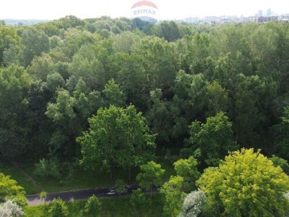 Na sprzedaż 50% udziałów działka Sołacz