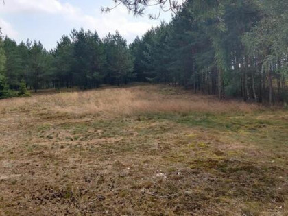 Działka budowlana z linią brzegową jeziora