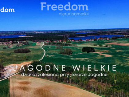 działka leśna w sercu Mazur | Jagodne Wielkie