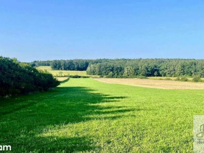Działka budowlan 2640 m² – las, spokój, prywatność