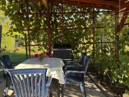 Działka ROD „Szarotka” | 302 m² | Altana, taras, wędzarni
