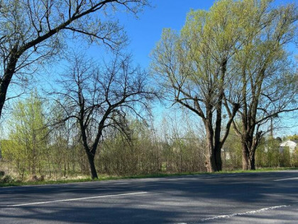 Działka usługowa Bugaj gm. Pobiedziska,