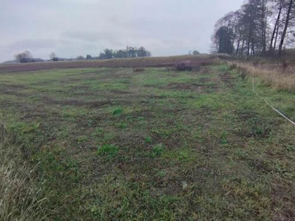 Działka Budowlana pod lasem z GOTOWYMI WARUNKAMI ZABUDOWY