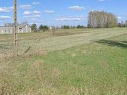 Działka rolna 5800 m2 -Dąbrowa, gm Mrozy