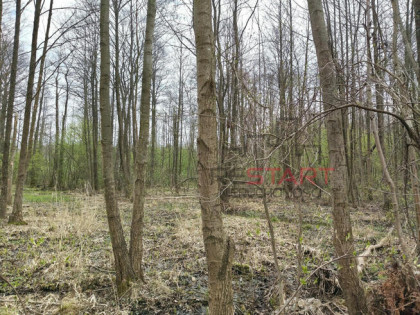 Działka budowlana Adamowizna gm. Grodzisk Mazowiecki,
