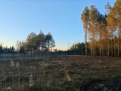 Działka budowlana Glinno kolonia
