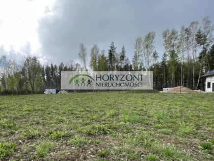 Kamień - działka przy zagajniku