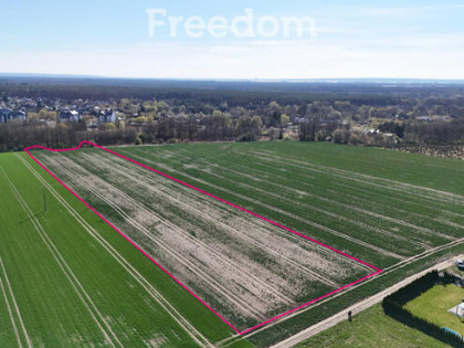 Na sprzedaż działka w Goleniowie / Ciechno 2,47 ha
