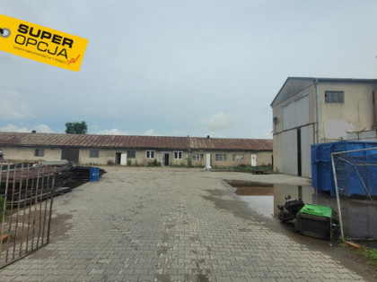 Lokal użytkowy Niepołomice,