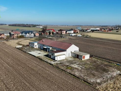 Lokal użytkowy Wola Kałkowa gm. Bedlno, Wiejska