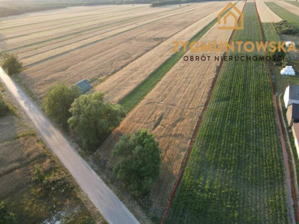 Działka Rusinów Wola Gałecka