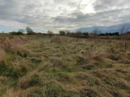 Nieruchomość niezabudowana od Syndyka - Chodów