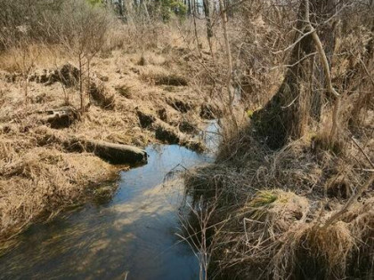 Twoja Wyspa na końcu drogi–4100m² dzikiej natury przy rzece
