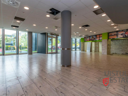 Lokal parterowy 246 m2 | możliwość gastronomii