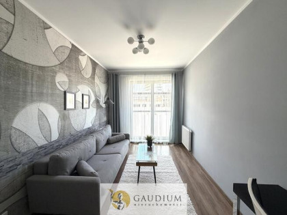 Luksusowy apartament Czarny Dwór
