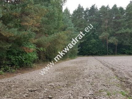 DZIAŁKA W OTULINIE LASU Budy Wolskie