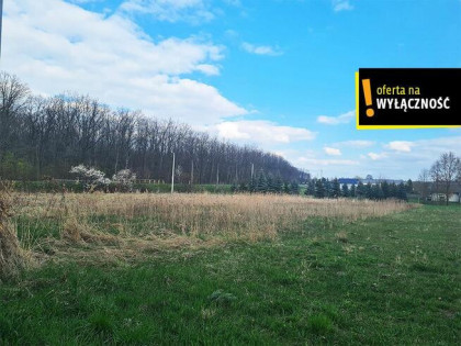 Działka budowlana Łubnice,