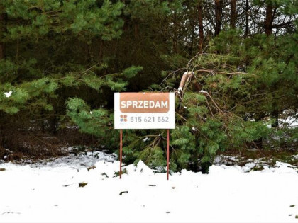 Działka leśna Mirów gm. Niegowa