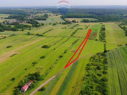 Działka rolna Poręba-Niwki