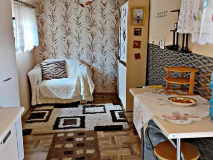 Działka ROD 320 m² – domek + taras – ul. Leśna Szczecin