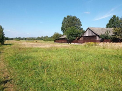 Uzbrojona działka 1,22 ha w miejscowości Laski (gm. Bojanów)