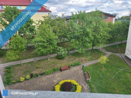 Bezpośrednio jasne 2 pokoje z balkonem, ekspozycja trójstronna, KSM Kielce  (3. piętro)