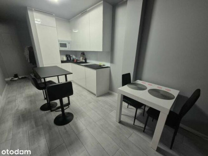Nowoczesne nowe eleganckie mieszkanie na wynajem