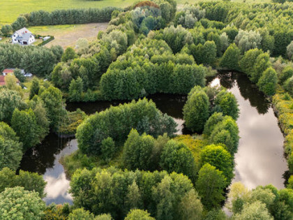 Dom z wyspą pod Toruniem - Obory