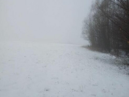 Sprzedam piękną działkę rolną 50 arów
