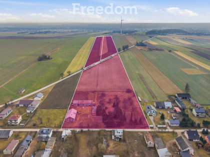 11 ha w Korytnie gm. Masłowice