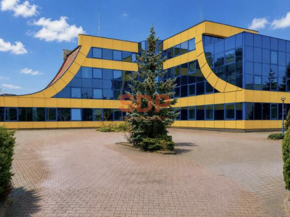 Lokal użytkowy Wrocław Stare Miasto, Przedmieście Oławskie, Krakowska