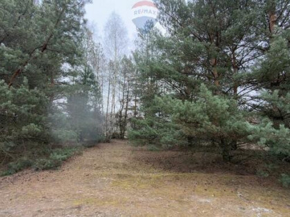 Michałów - urokliwa działka budowlana 5500 m2