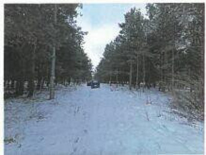 Syndyk sprzeda udział 1/2 w nieruchomości gruntowej BORY