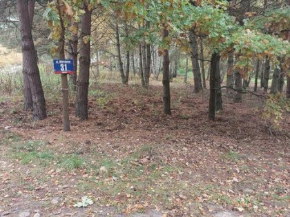 Działka budowlana Lipowo - Wiązowna