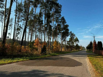 Rezerwacja/Działka budowlano-leśna Błędnica, 9,7 ha