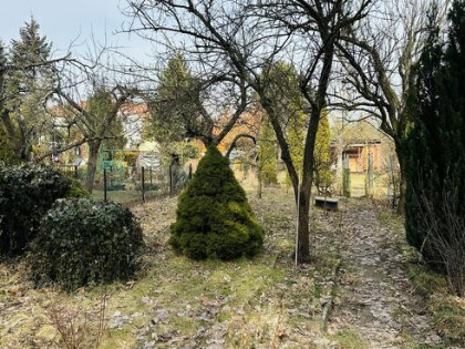Działka ROD 308 m2 z potencjałem – Poznań, ul. Wspólna