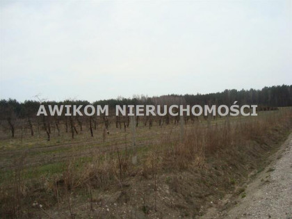 Działka budowlana Many gm. Tarczyn