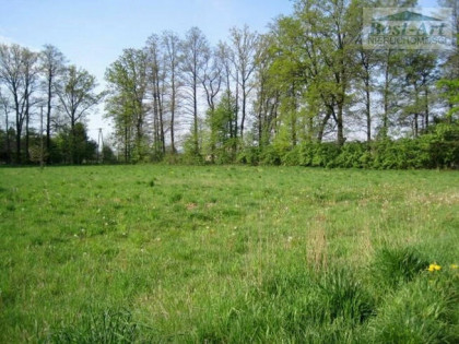 Skoczów, Kiczyce - działka budowlana na sprzedaż.