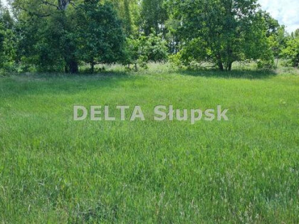 Działka inwestycyjna Smołdziński Las gm. Smołdzino