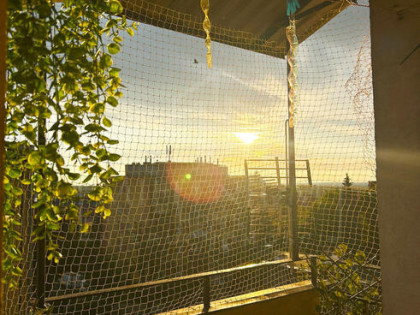 ŁAŃCUT | 2 POKOJE | WIDOKOWY BALKON | CENTRUM