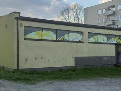 Pawilon handlowo-usługowy z działką