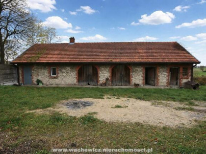 Dwa budynki na działce 53ar - Mstyczów, gmina Sędziszów