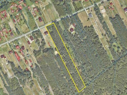 Działka budowlana 1,2 ha Karolówka, 10 min do Biłgoraja