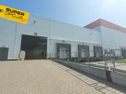 Lokal użytkowy Niepołomice,