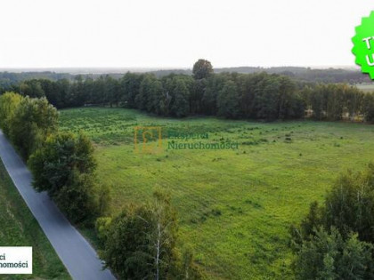 Działka rolna Kustrawa gm. Krzeszów