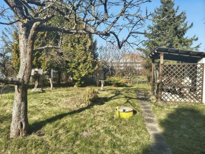 Działka ROD na Oliwie przy Wita Stwosza