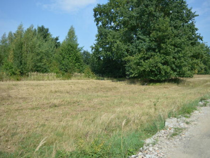 Działka * SPRZEDAŻ * Mielec* ul. Żegoty*13,37a