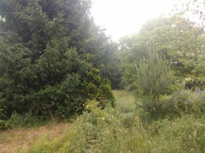 Sprzedam działkę ROD 429 m2 Wrocław